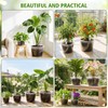 16 Pack 12/10/8/6 Inch Clear Nursery Pots with Drainage, Large