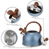 Whistling Kettle, Stainless Steel Kettle, 2.5 L Stainless Steel Whistling