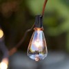 Couah Edison Light Bulbs 10-Pack Replacement ST38 Clear Bulbs -