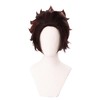 Kamoto's Blade Wig, Cosplay, Wig, Costume, Parisodes, Selectable Characters (Tanjiro