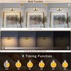yumcrelect 5W LED Wireless Picture Lights with Remote and Timer