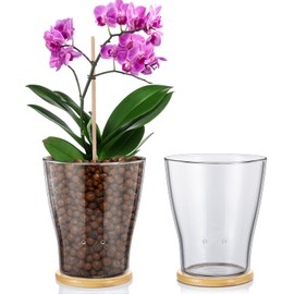 Baderke Glass Orchid Pots with Holes and Bamboo Tray Glass Pot Water Level Control Semi Hydroponic Transparent Root Transparent Indoor Orchid Planter for Home Indoor Outdoor Plant Lovers (6 Inch)