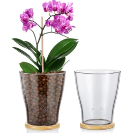 Baderke Glass Orchid Pots with Holes and Bamboo Tray Glass Pot Water Level Control Semi Hydroponic Transparent Root Transparent Indoor Orchid Planter for Home Indoor Outdoor Plant Lovers (6 Inch)