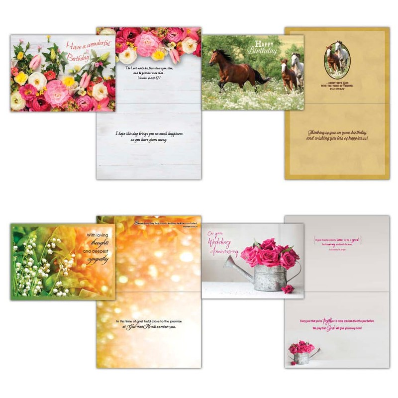 Shared Blessings 48 All Occasion Cards Value Pack 2, King