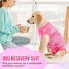 SlowTon Dog Recovery Suit - Surgery Recovery Suit for Female