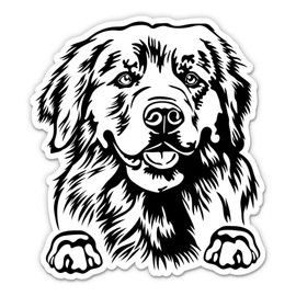 Golden Retriever Sticker - 5" Laptop Sticker - Waterproof Vinyl for Car, Phone, Water Bottle - Golden Retriever Dog Decal