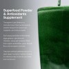 Transparent Labs Prebiotic Greens Superfood Antioxidantes 30