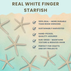 Starfish Decor - Star Fish for Craft - 2pk 4-5" White Real Sea Stars - Beach Wedding Decor - Coastal Party Decorations - Seashell Decor - Shells for Crafts - Nautical Décor