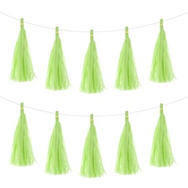 MECCANIXITY 20Pcs Glass Green Tassel Garland Banner with Rope Tissue Paper Tassels Party DIY Kits for Anniversary Wedding Birthday Party