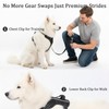 Light Up Dog Harness for Medium/Large Dogs