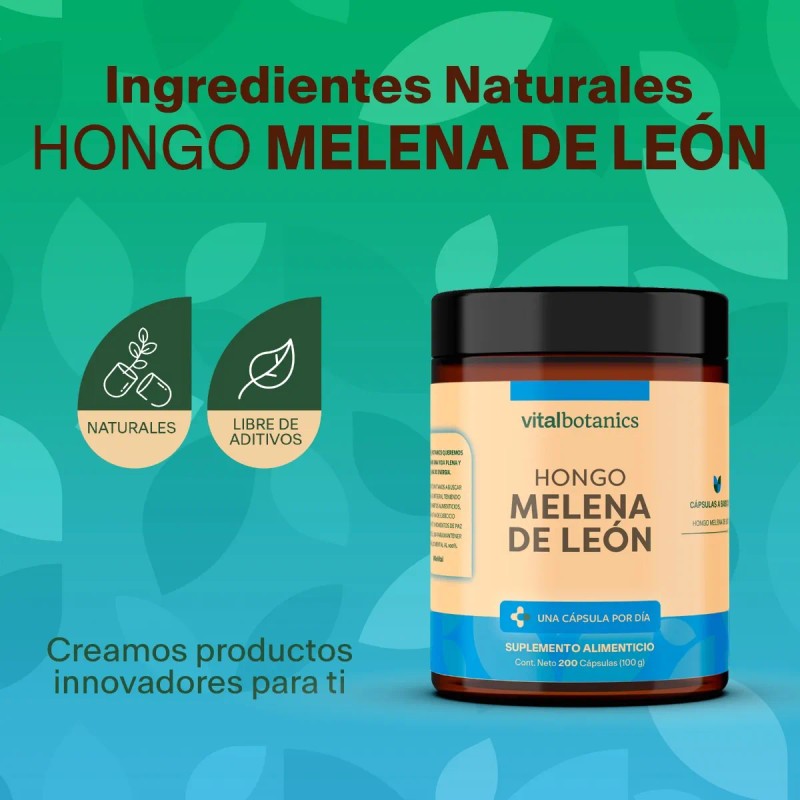 Hongo Melena De Leon Nootropico 200 Capsulas | Vitalbotanics