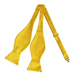 Allegra K Bowtie, Bowtie, Ribbon, Formal, Wedding, School Entrance Ceremony, Plain, Adult, Men's, gold