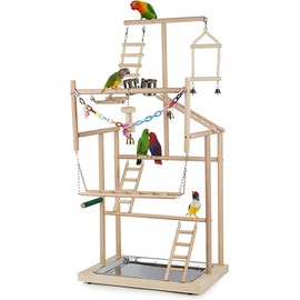 Ibnotuiy Pet Parrot Playstand Parrots Bird Playground Bird Play Stand Wood Perch Gym Play