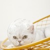 Cat Muzzle Transparent Breathable Prevent Biting Licking Lightweight Cat Hood