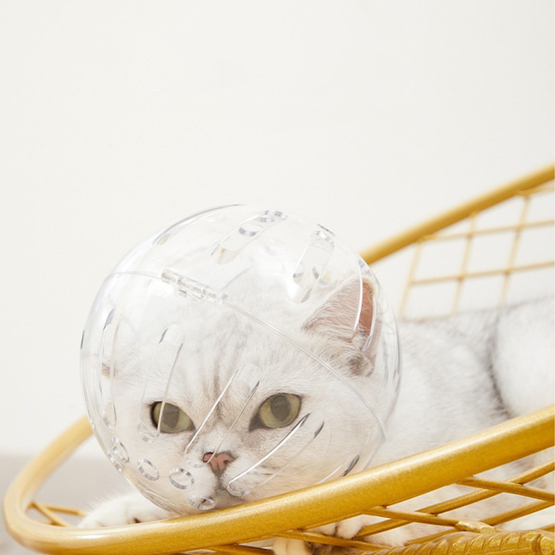 Cat Muzzle Transparent Breathable Prevent Biting Licking Lightweight Cat Hood