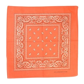 Glory Max 12Pcs Bandanas 100% Cotton Double Sided Paisley Print Head Wrap Scarf Wristband Headband (Orange)