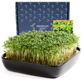 Otaro Cress Propagation Trays Including Cress Seeds (Black) | Get Started | Elegant Cress Sieve, Germination Bowls for Sprouts, Germination Bowl | Perfect as a Thank You Gifts (Premium Ceramic Set)