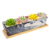 Succulent Pots - 12.1 Inch Large Succulent Pots with Drainage