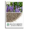 Chia Seeds for Planting, 1000+ Seeds Per Packet,Herb/Flower, (Isla's Garden