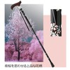 Wellfan Dream Life Stick, Slim Neck, Black Cherry (Foldable, Easy