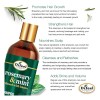 Champú Difeel Elevated Rosemary Mint Con Biotina 12 Oz. -