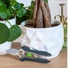 Burgon & Ball House Plant Pruners Secateur, 15.5 cm Length