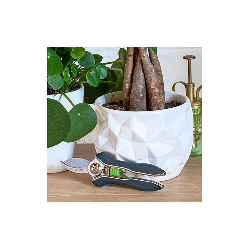 Burgon & Ball House Plant Pruners Secateur, 15.5 cm Length
