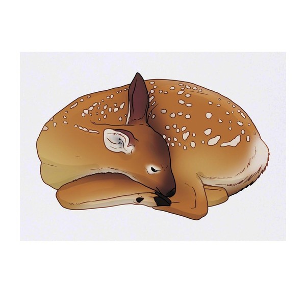 Azeeda 'Schlafendes Rehkitz' Temporäres Tattoo - Hautfreundlicher & Ungiftiger Abziehbild