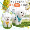 Pet Harness & Leash Set, Dog Harness, Small Dogs, Cats,