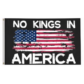 RNR Large No Kings in Flag 3X5FT, Garden Yard Flags for Outdoor and Indoor Decor Banner,Polyester Flags with Brass Grommets. (No Kings, 3x5)