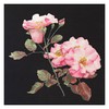 Thea Gouverneur On Aida Counted Cross Stich Kit 17.5"X17.5"-Rosa Leersum
