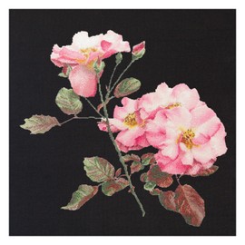 Thea Gouverneur On Aida Counted Cross Stich Kit 17.5"X17.5"-Rosa Leersum (18 Count)