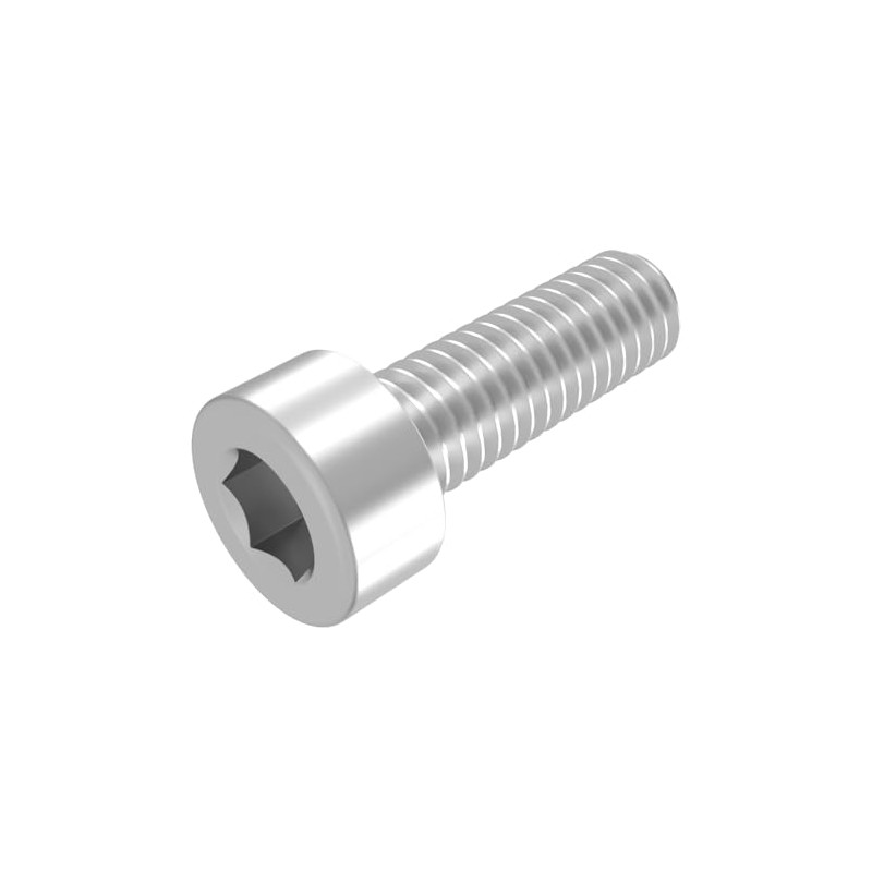 SECCARO 20 x M10 x 30mm V2A VA A2 Stainless