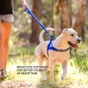 EzyDog Quick Fit Dog Harness - Premium Padded No-Pull Harness,