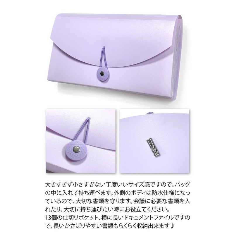 Taiko Document File (13 Pockets/Sorting Sheet) Receipt Storage (Clear White)