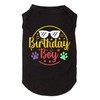 weokwock Dog Birthday Gift Clothes Boy Girl Birthday Shirt for