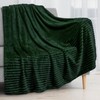 PAVILIA Super Soft Fleece Throw Blanket Twin Emerald Green, Fuzzy
