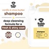 Buddycare Vanilla & Shea Butter Dog Shampoo by Buddycare |