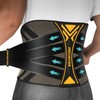 JIUFENTIAN Copper Back Braces for Lower Back Pain with Support