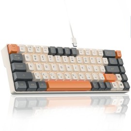 Solakaka SK968 60% Wired Gaming Keyboard,RGB Backlit,USB-C, Compact Mini Keyboard for Office PC Gamers Gaming Rainbow Backlight, Gaming Accessories, Computer Accessories Budget Keyboard - Colour: Grey&Orange