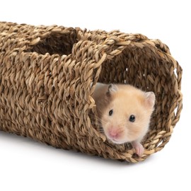 Niteangel Creative & Composable Hamster Tunnel - DIY & Build Unique Tube Burrow as Hideout for Small Sized Animals Like Hamsters Mouse Gerbils Mice (7.5-inch L - HC)