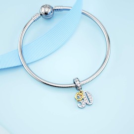 DALARAN Sterling Silver 16 18 30 40 50 60 Years Old Charms for Charm Gold Plated Heart Birthday Gift, Sterling Silver, Cubic Zirconia