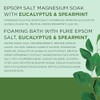 Dr Teal's Pure Epsom Salt Soak and Foaming Bath, Relax