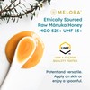 Melora Raw Manuka Honey from New Zealand | UMF 15+