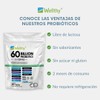 Wellthy Probioticos 60 Billones 11 Cepas. 60 Cápsulas 2 meses