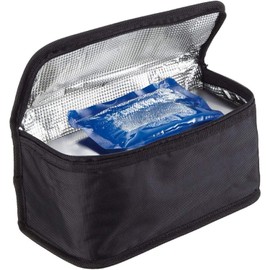 Asvel Insulated Lunch Bag