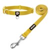 azuza Nylon Fall Dog Collar and Leash Set, Strong &