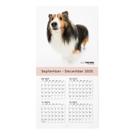 THE DOG 2026 Wall Calendar, Mini Size, Shetland Sheepdog