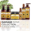 Saryna Key Damage Repair Pure African Shea Oil 110 ml