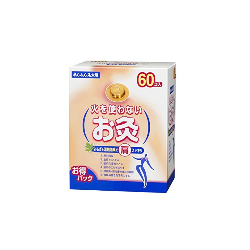 Moxibustion 60 co-Input That Does not use a Dedicated moxibustion